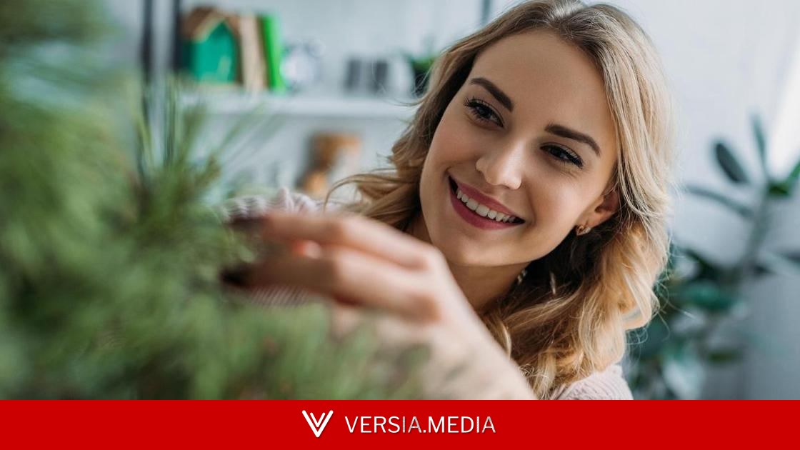 5 неприхотливых комнатных растений, которые можно не поливать неделями
