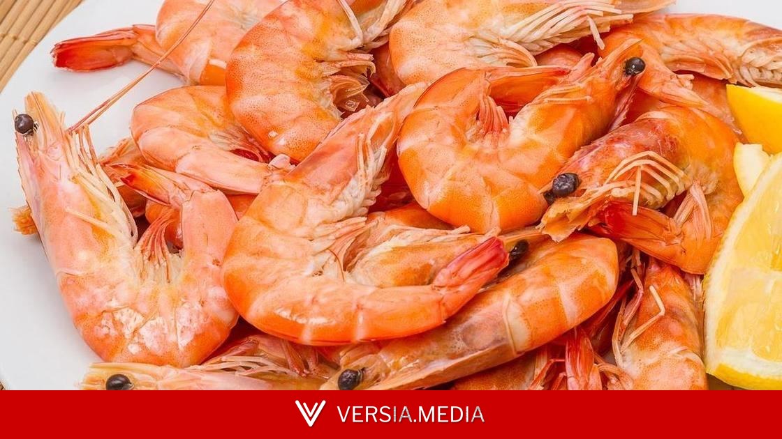 Можно ли есть креветки при высоком холестерине, разъяснила диетолог Желянина