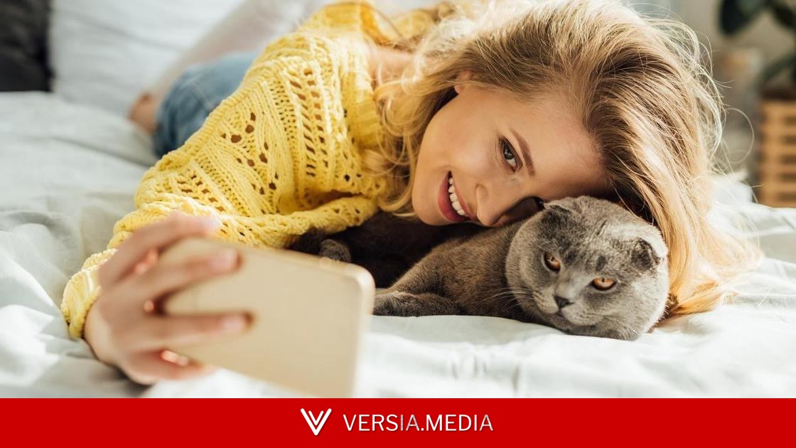 Это не самый лучший момент, чтобы погладить кошку: вы причините себе боль