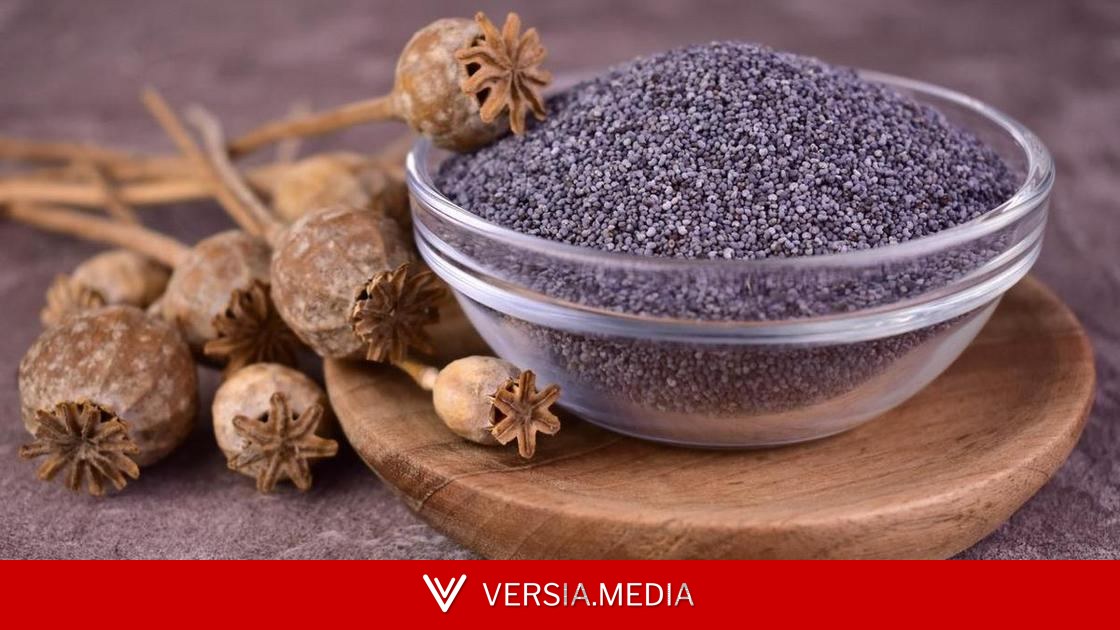 Дело не в пыли: почему нужно обязательно промывать мак перед тем, как добавить в выпечку