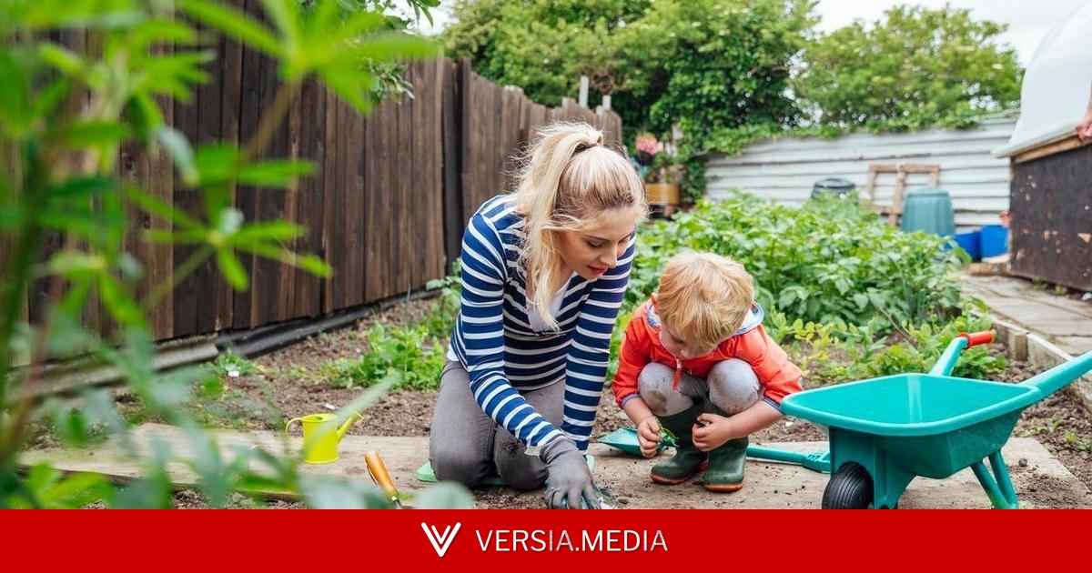 Чем подкормить перцы в июле для богатого урожая — 5 народных рецептов