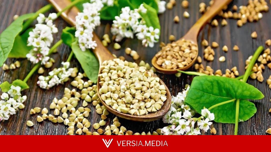 Чем зеленая гречка отличается от коричневой, объяснила биохимик Дивинская