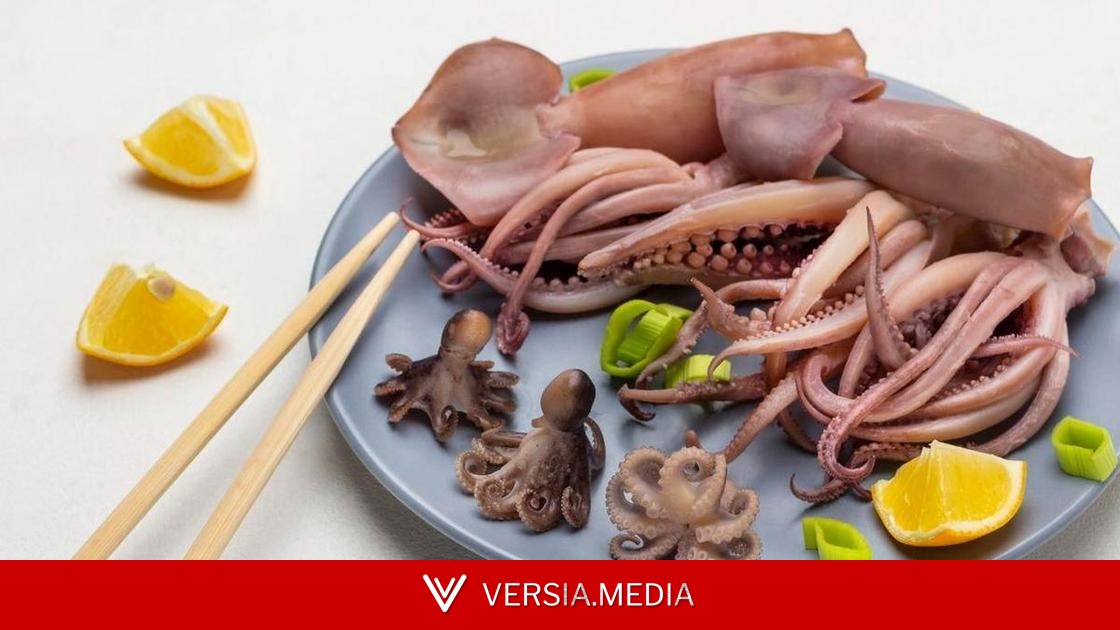 У одного есть мощный козырь: чем осьминог отличается от кальмара по белку и жирам