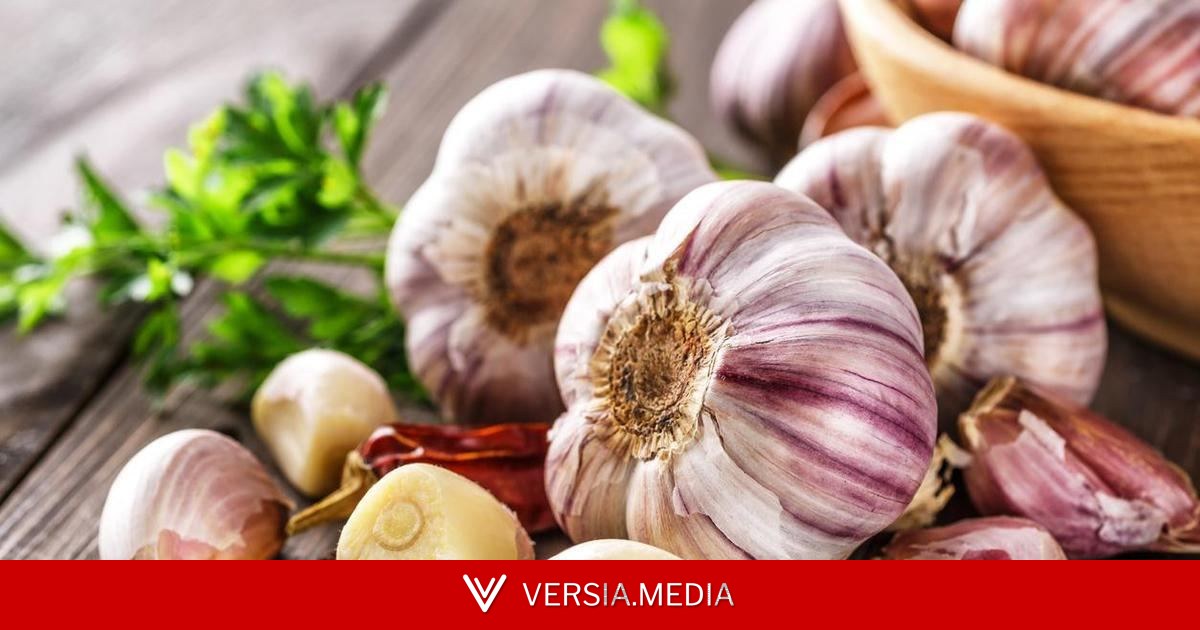 Cгноите весь урожай: 6 ошибок после сбора чеснока, из-за которых он не доживет до зимы