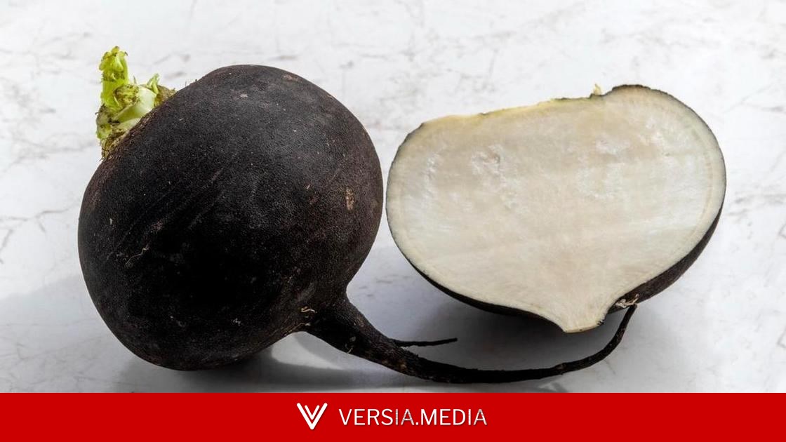 Легче дышится: про эффект черной редьки рассказала эксперт Чаевская