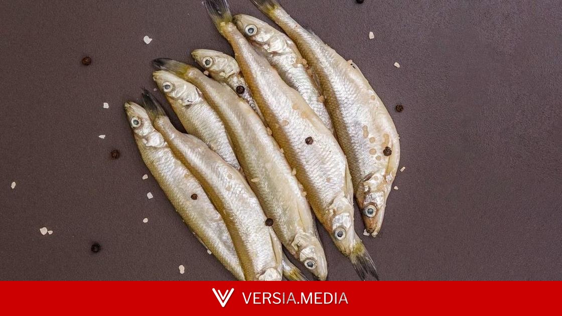 Правильнее есть с костями: рассказываем, почему мелкая мойва полезнее крупной