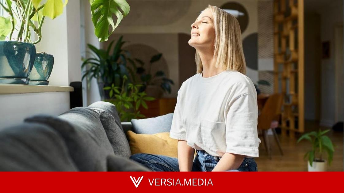 Кандидоз каждый месяц: почему свечи не работают и что надо проверить у гастроэнтеролога