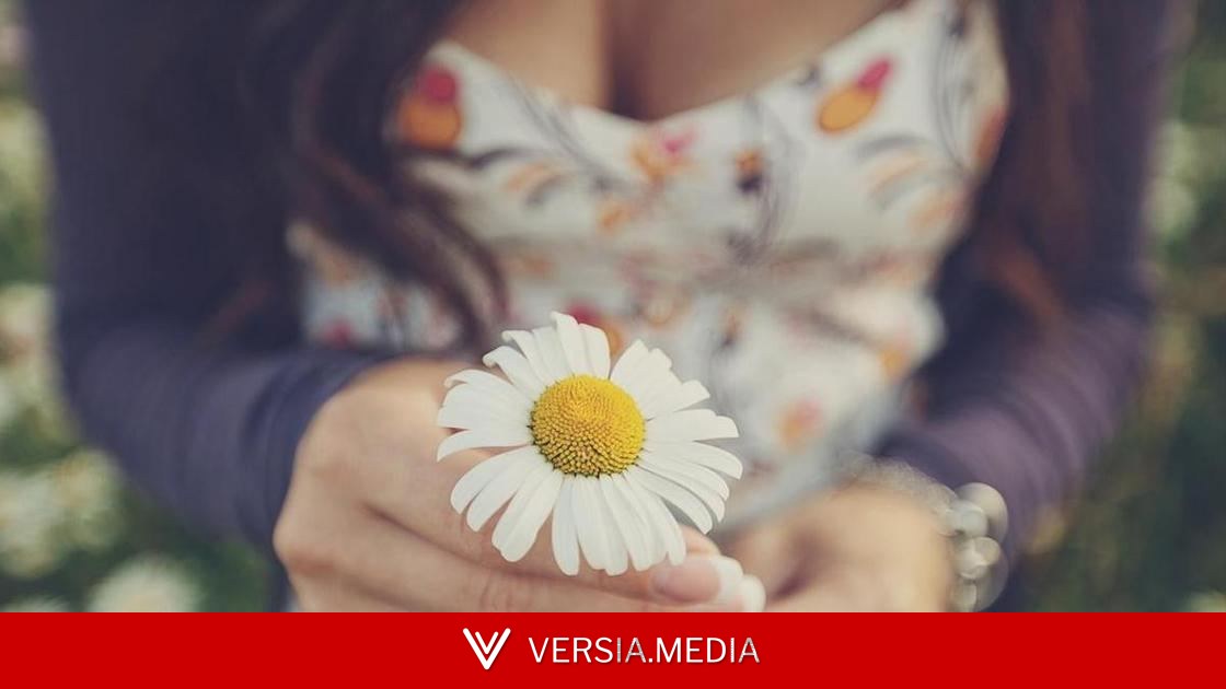 Разминка для мозга «ромашка» улучшит память и избавит от эффекта невнимания