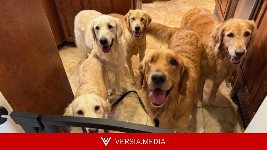 Улыбаюсь, даже если не хочется: мужчина борется с болезнью Паркинсона «методом ретривера»